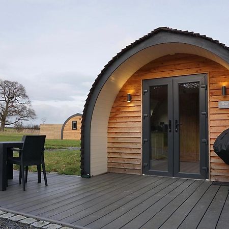 Habberley Glamping Pods Hotell Shrewsbury Exteriör bild