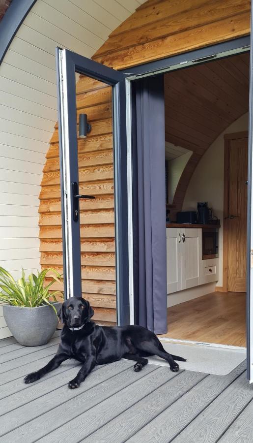 Habberley Glamping Pods Hotell Shrewsbury Exteriör bild